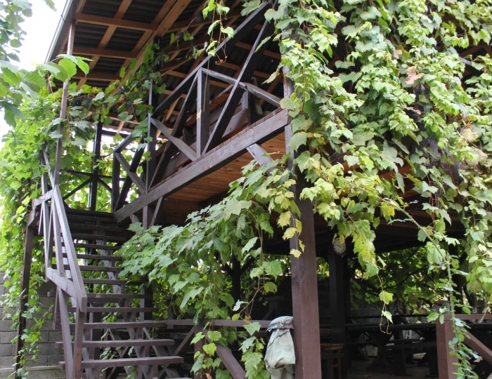 Отель «Анхара» Пицунда